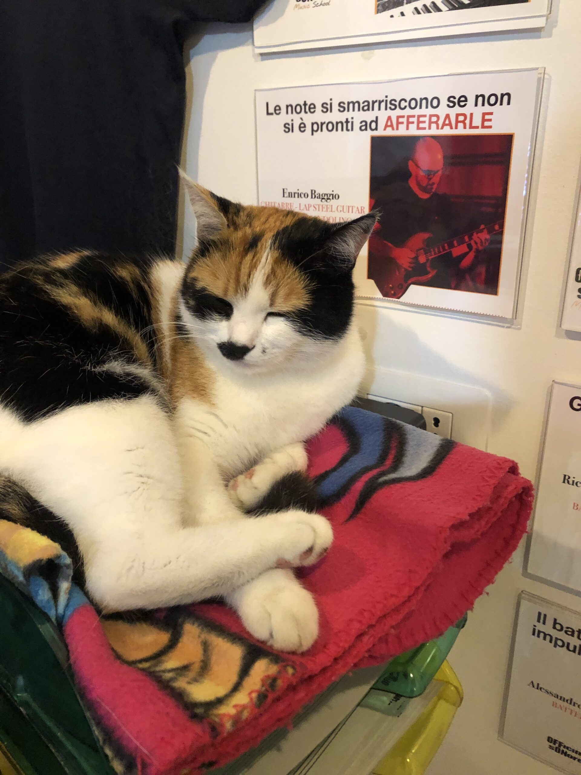 Mimì la mascotte